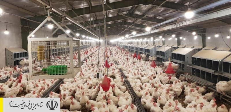 ایجاد ۱۹۰ هزار شغل با حمایت از بنگاه‌های تولیدی توسط بنیاد برکت ستاد اجرایی فرمان امام