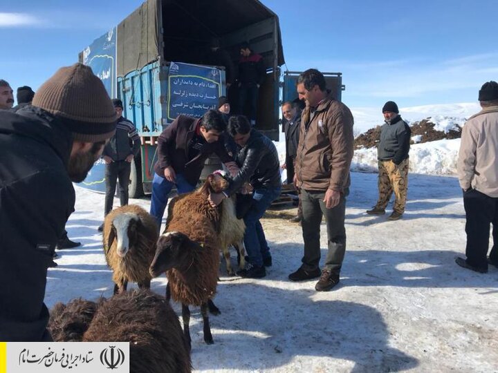 اهدای دام سبک توسط ستاد اجرایی فرمان امام به مردم زلزله زده آذربایجان شرقی