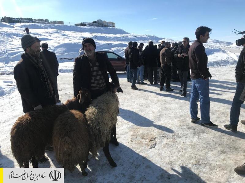 اهدای دام سبک توسط ستاد اجرایی فرمان امام به مردم زلزله زده آذربایجان شرقی
