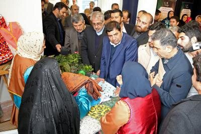 بازدید رئیس ستاد اجرایی فرمان حضرت امام (ره) از نمایشگاه طرح های اشتغالزایی در گلوگاه