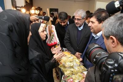 بازدید رئیس ستاد اجرایی فرمان حضرت امام (ره) از نمایشگاه طرح های اشتغالزایی در گلوگاه