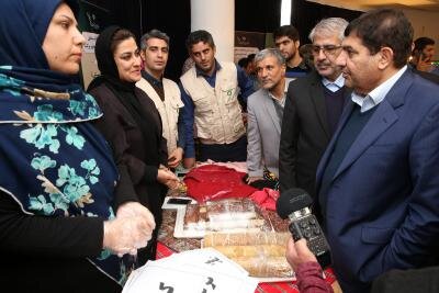 بازدید رئیس ستاد اجرایی فرمان حضرت امام (ره) از نمایشگاه طرح های اشتغالزایی در گلوگاه