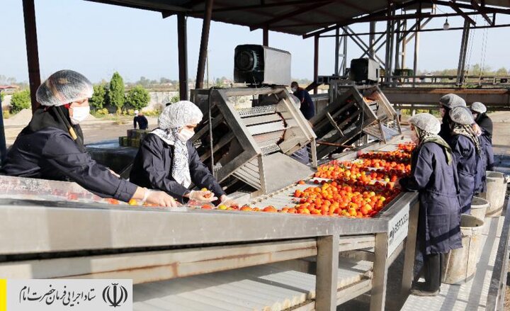 راه‌اندازی اولین اورژانس محصولات کشاورزی به همت بنیاد برکت