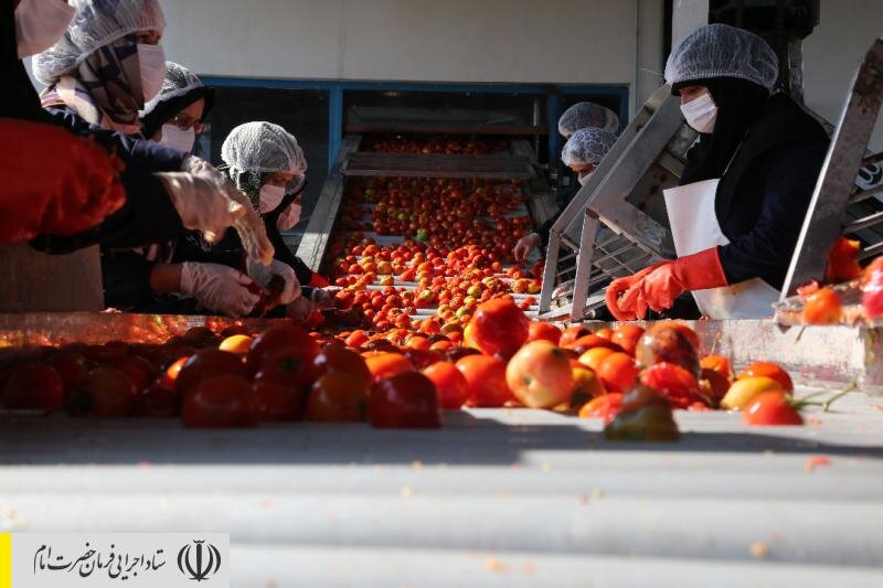 راه‌اندازی اولین اورژانس محصولات کشاورزی به همت بنیاد برکت