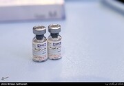 واکسن "کوو ایران برکت" باعث افزایش آنتی‌بادی در ۹۱درصد داوطلبان شد