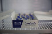 شمارش معکوس برای آغاز کارآزمایی بالینی "واکسن برکت" برای ۱۲ تا ۱۸ ساله‌ها / تولید بیش از ۱۶ میلیون دوز از نخستین واکسن ایرانی کرونا