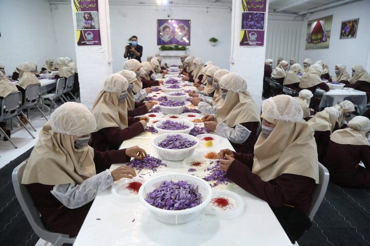 تیزر اقدامات مهم هلدینگ کشاورزی ستاد اجرایی فرمان امام در منطقه مرزی تایباد