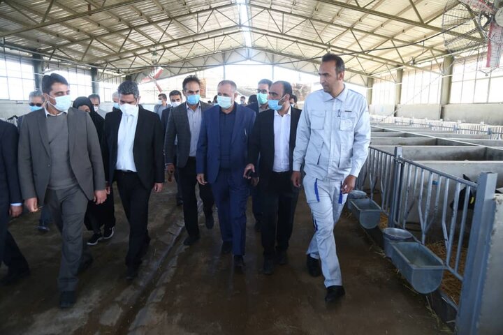 بازتاب رسانه‌ای اقدامات ستاد اجرایی فرمان امام در تایباد