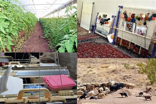 اجرای ۱۰۷۸ طرح اشتغالزایی برای بانوان روستایی و سرپرست خانوار
