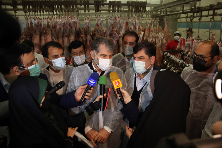 تنظیم بازار گوشت قرمز توسط شرکت پشتیبانی امور دام کشور با همکاری هلدینگ کشاورزی ستاد اجرایی فرمان امام (ره) و بخش خصوصی