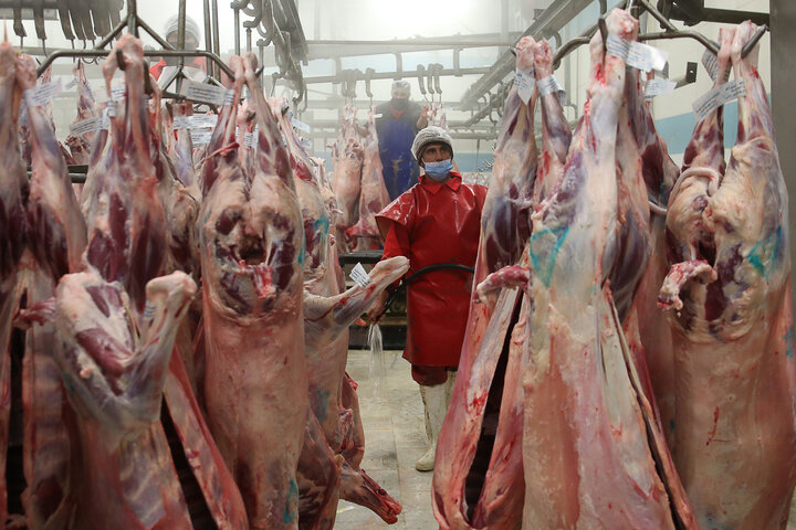 30 هزار راس دام سبک در دو ماهه پایانی سال توسط هلدینگ کشاورزی ستاد اجرایی تامین و کشتار و جهت تنظیم بازار به وزارت جهادکشاورزی تحویل شد