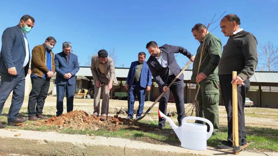 کاشت نهال در روز درختکاری به امید ثمردهی درخت در کارخانه قند یاسوج