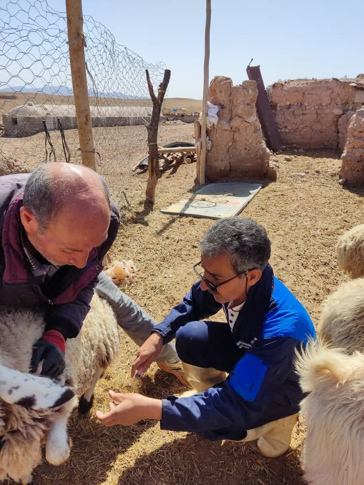 عملیات کاروان سلامت دام در منطقه محروم خارتوران بیارجمند