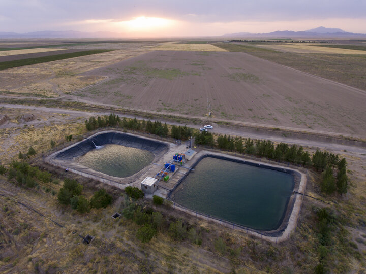 اجرای طرح توسعه کشت گیاه علوفه ای خارشتر برای اولین بار در اراضی شرکت مدبرکشت توس هلدینگ کشاورزی و صنایع غذایی ستاد اجرایی فرمان امام (ره)