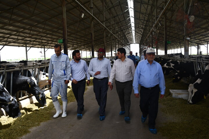 بازدید مدیرعامل هلدینگ کشاورزی وصنایع غذایی ستاد اجرایی فرمان امام (ره) و هیئت همراه از شرکت مدبر کشت توس