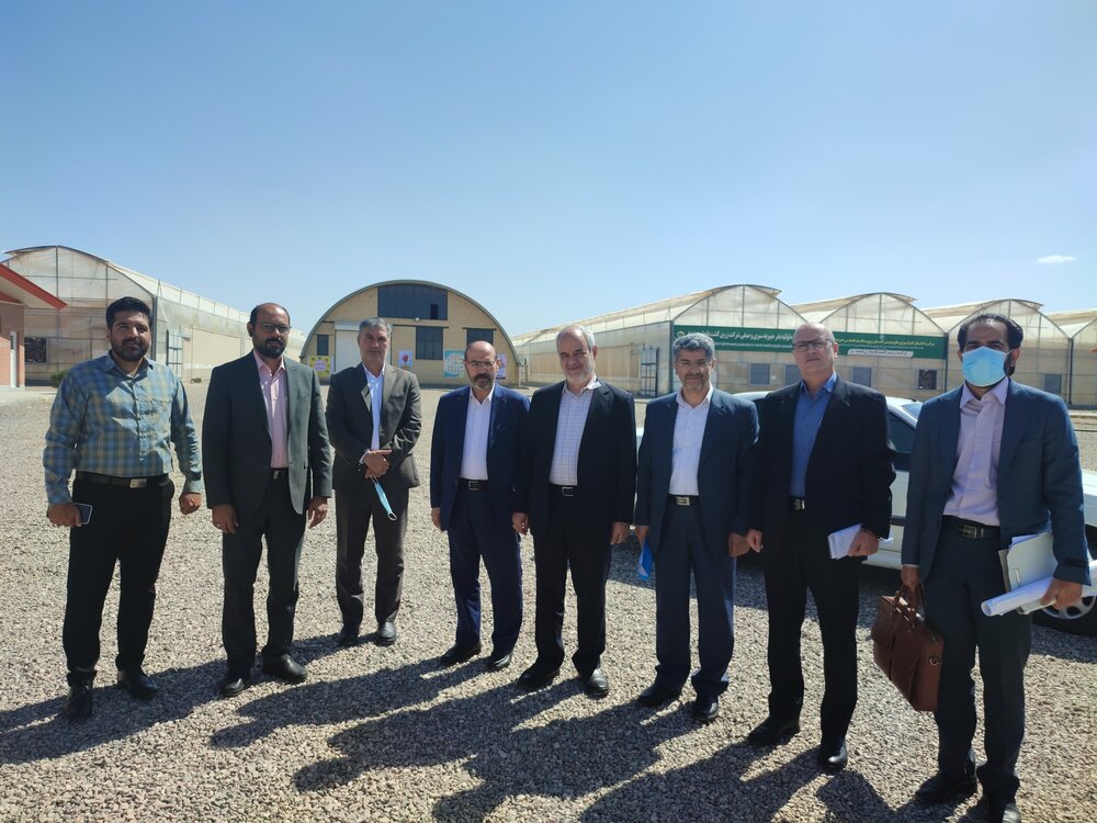 بازدید دکتر مهری معاون حقوقی ستاد از شرکت زرین کشت پایدار زرندیه 10 خرداد 1401