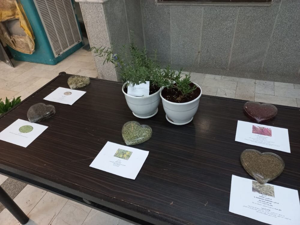 نمایشگاه دانشجویی گیاهان دارویی با همکاری شرکت مدبر کشت توس