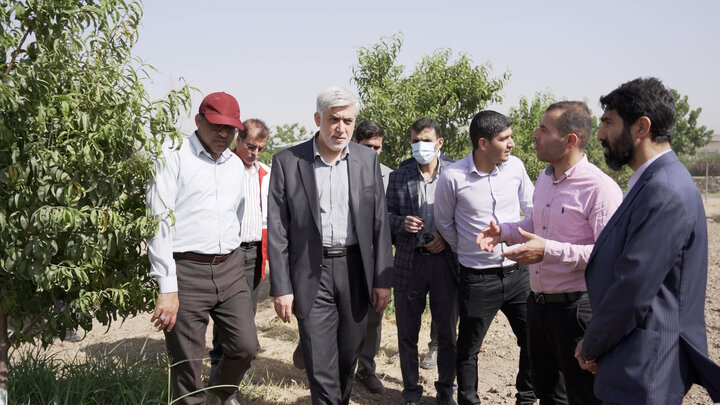 افتتاح باغ خشکباری نیمه متراکم و هوشمند در استان البرز