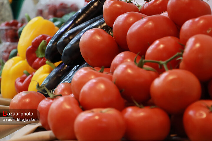 تصاویر حضور هلدینگ کشاورزی ستاد در نمایشگاه اکسپو 2023