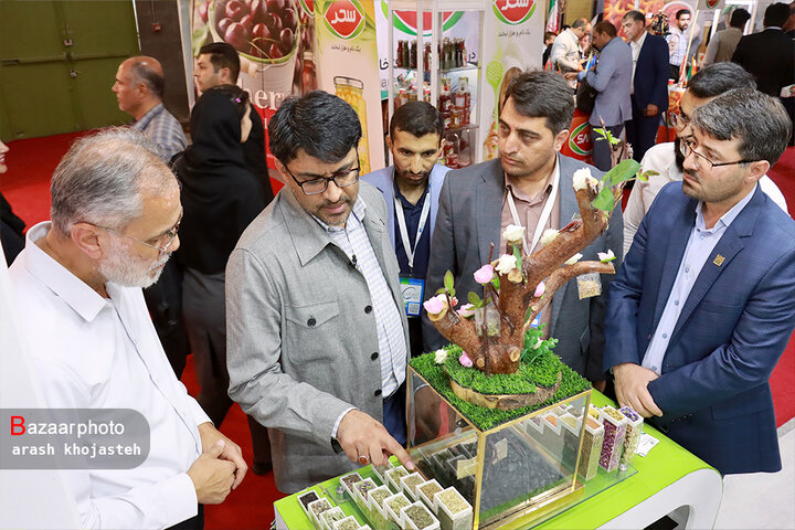 مدیرعامل شرکت مدبر کشت توس گفت : انبار بورس کالایی زعفران با ۲ تن ظرفیت در تایباد ایجاد شد