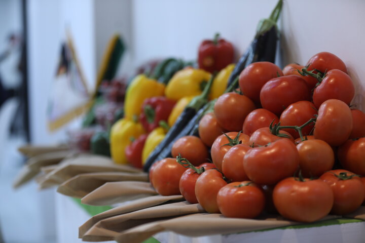 تصاویر حضور هلدینگ کشاورزی ستاد در نمایشگاه اکسپو 2023