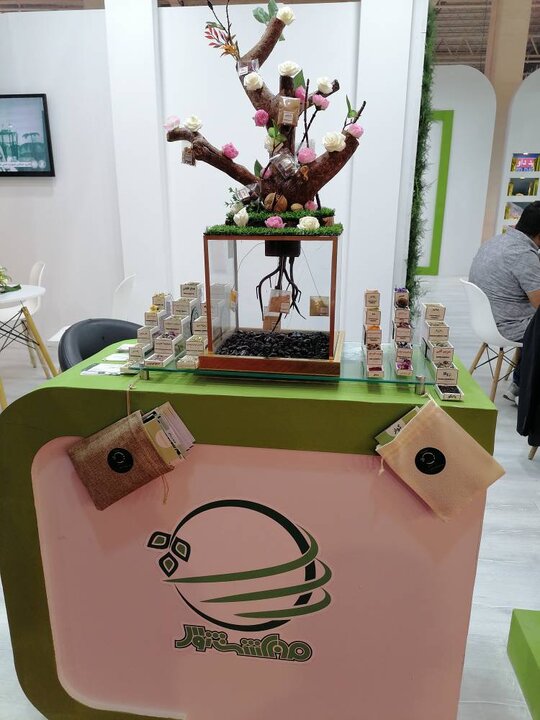 حضور هلدینگ کشاورزی ستاد اجرایی در نمایشگاه اکسپو 2023