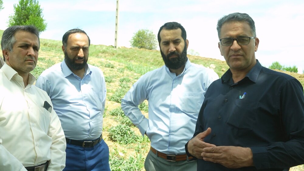 بازدید از مزارع گیاهان دارویی در استان مازندران و تلاش برای ارتقای کیفیت تولید