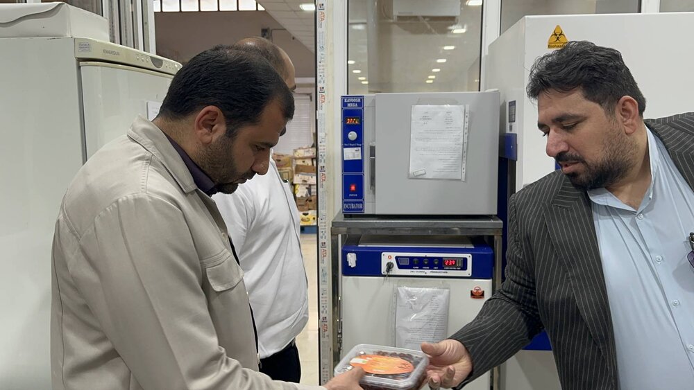 بازدید مدیر کل ستاد اجرایی فرمان حضرت امام (ره) استان بوشهر از کارخانه محصولات خرما در شهر آبپخش 