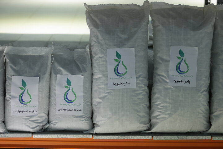 افتتاح کارخانه فرآوری گیاهان دارویی در گچساران توسط ستاد اجرایی فرمان امام