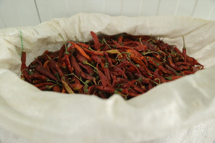 افتتاح کارخانه فرآوری گیاهان دارویی در گچساران توسط ستاد اجرایی فرمان امام