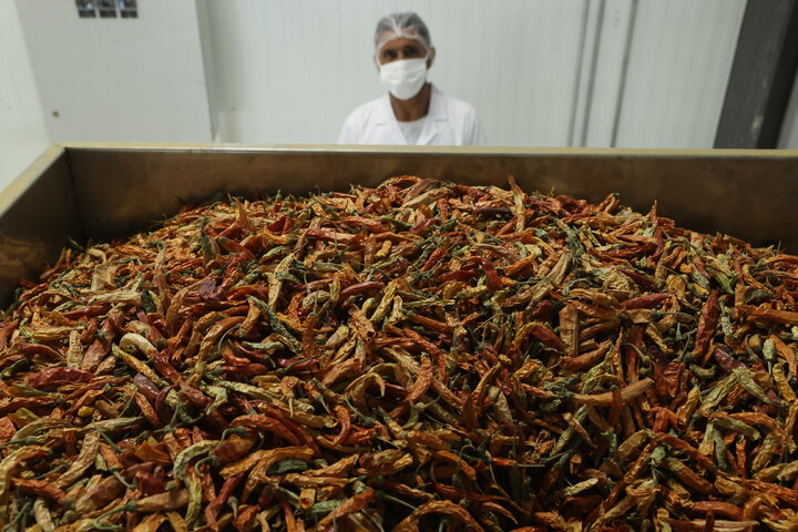 افتتاح کارخانه فرآوری گیاهان دارویی در گچساران توسط ستاد اجرایی فرمان امام