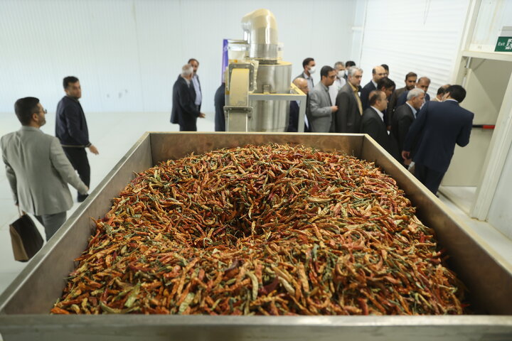 افتتاح کارخانه فرآوری گیاهان دارویی در گچساران توسط ستاد اجرایی فرمان امام