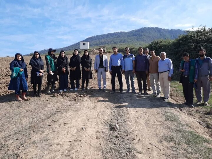 طرح جهش تولید در دیمزارهای استان گلستان شهرستان آزادشهر 