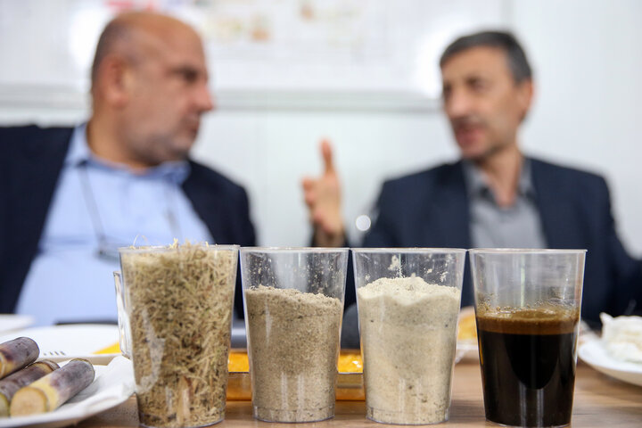 بازدید فتاح رییس ستاد اجرایی فرمان امام از پروژه‌ کاغذ سبز خوزستان 