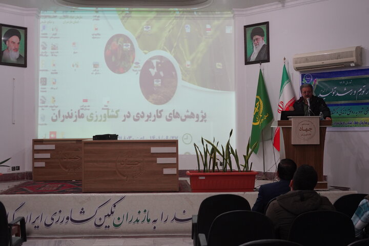 طرح جهش تولید در دیم زارهای استان مازندران