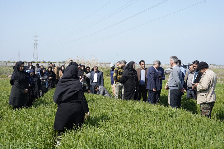 ستاد اجرایی فرمان حضرت امام (ره) استان مازندران