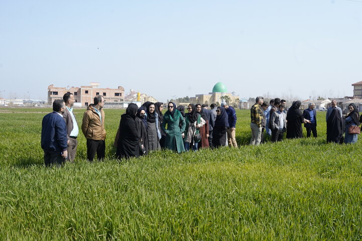 ستاد اجرایی فرمان حضرت امام (ره) استان مازندران