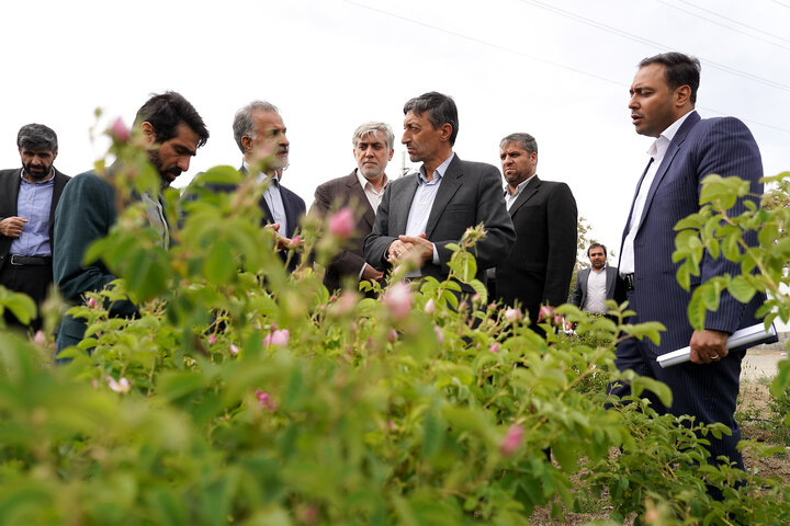 بازدید رییس ستاد اجرایی فرمان امام از شهرک دارویی برکت