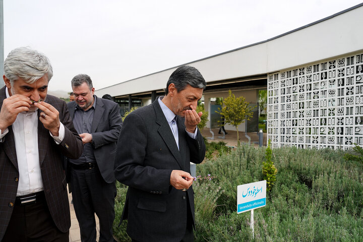 بازدید رییس ستاد اجرایی فرمان امام از شهرک دارویی برکت