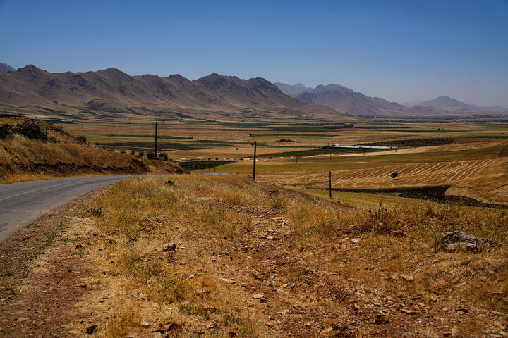 برداشت محصول دیمزار