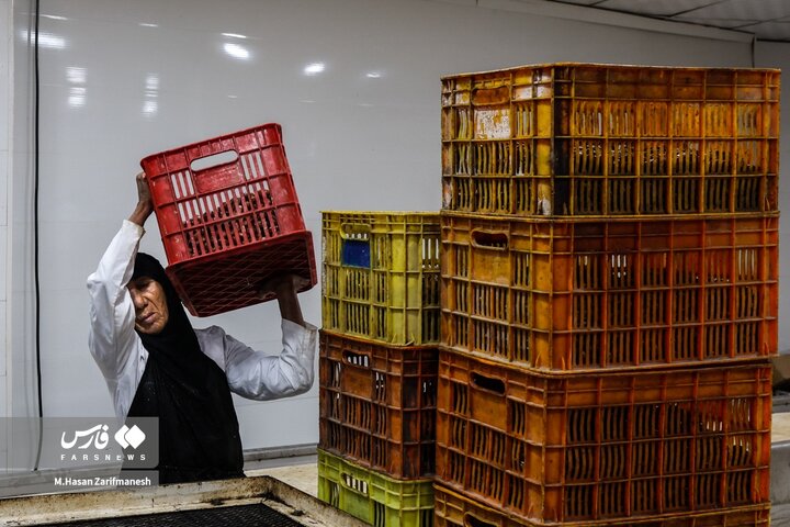 از نگاه رسانه/ طرح‌های اشتغال برکت در استان خوزستان