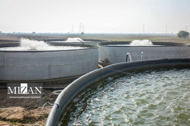 از نگاه رسانه/ طرح‌های اشتغال برکت در استان خوزستان