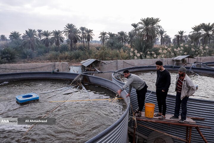 از نگاه رسانه/ طرح‌های اشتغال برکت در استان خوزستان