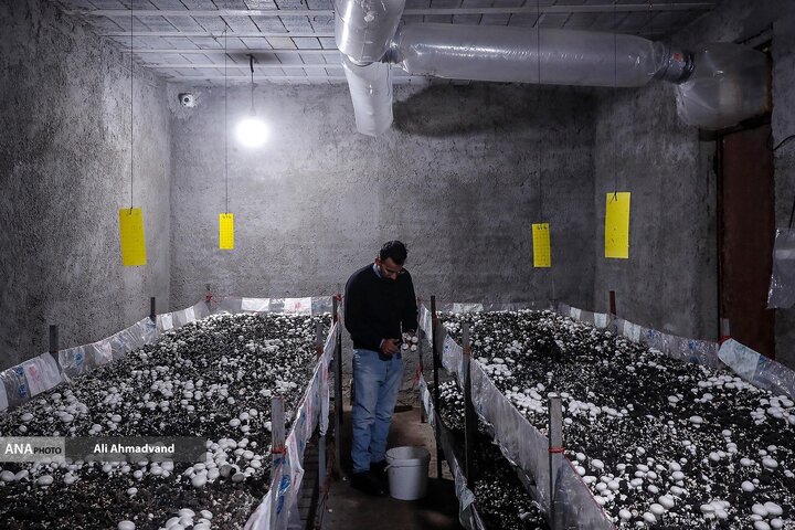 از نگاه رسانه/ طرح‌های اشتغال برکت در استان خوزستان