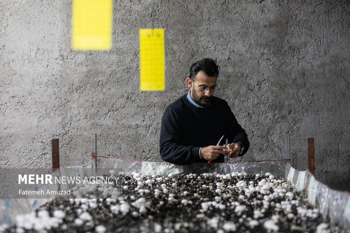 از نگاه رسانه/ طرح‌های اشتغال برکت در استان خوزستان