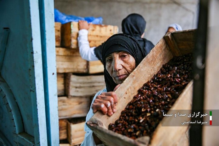 از نگاه رسانه/ طرح‌های اشتغال برکت در استان خوزستان