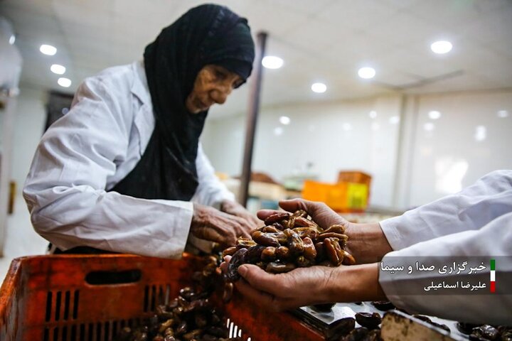 از نگاه رسانه/ طرح‌های اشتغال برکت در استان خوزستان