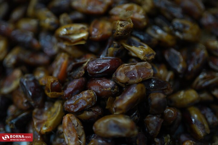 از نگاه رسانه/ طرح‌های اشتغال برکت در استان خوزستان