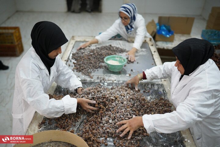 از نگاه رسانه/ طرح‌های اشتغال برکت در استان خوزستان