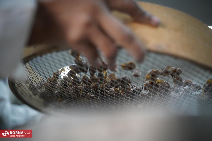 از نگاه رسانه/ طرح‌های اشتغال برکت در استان خوزستان